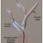 Researchers 3D Print Micro-Scale Structures with Ice